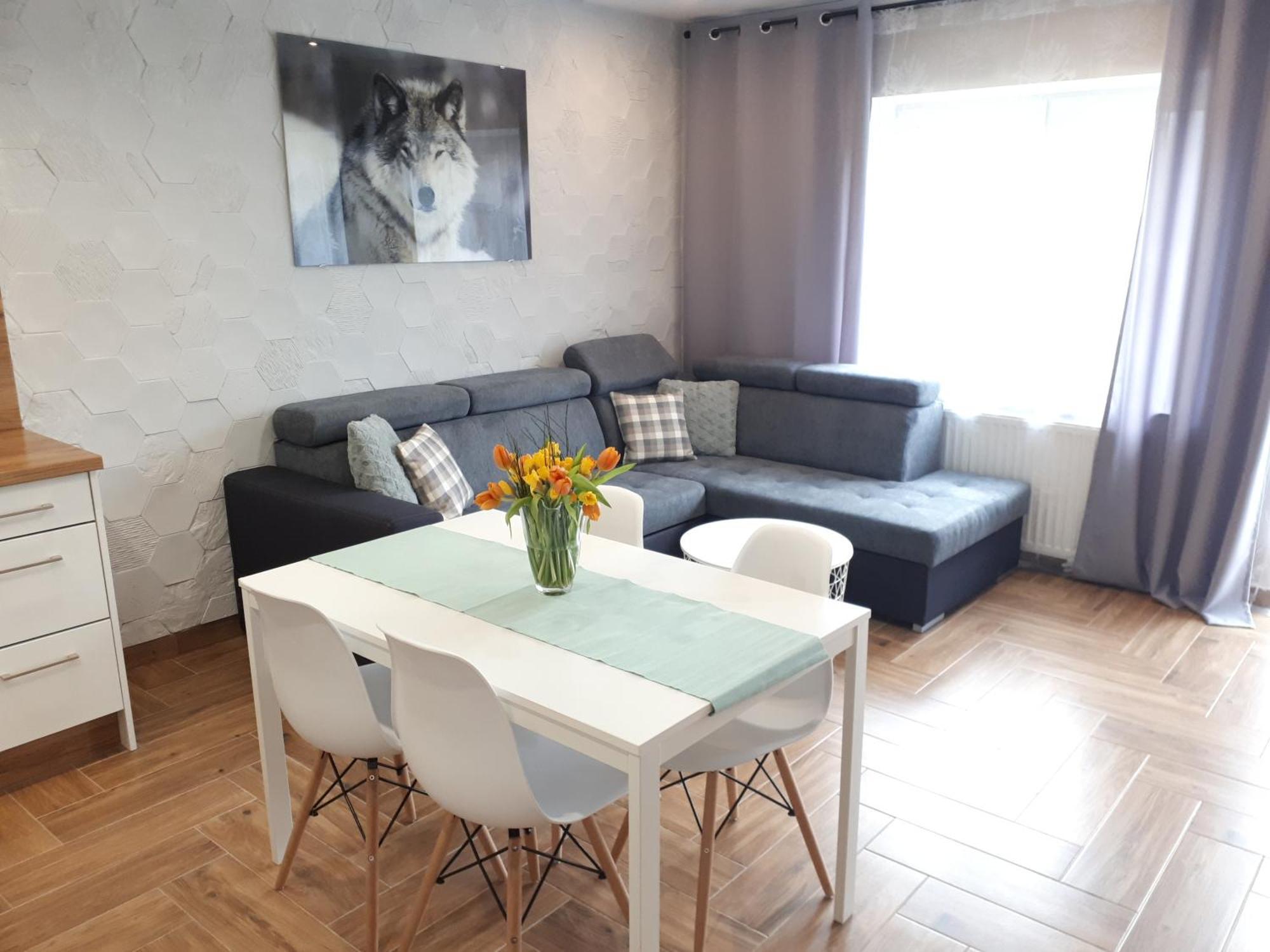 Apartamenty Pod Dzikowcem โบกุสชุฟ-กอร์เซ ภายนอก รูปภาพ