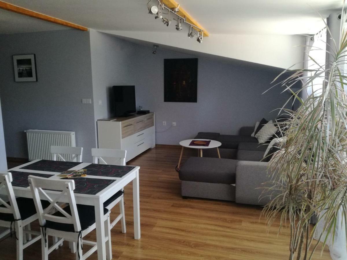 Apartamenty Pod Dzikowcem โบกุสชุฟ-กอร์เซ ภายนอก รูปภาพ